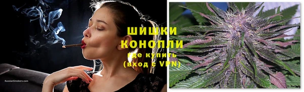 МДПВ Рославль