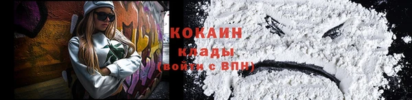 МДПВ Рославль