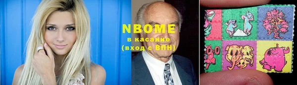 сатива Ростов