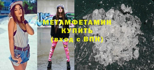 сатива Ростов