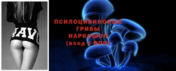 МДПВ Рославль