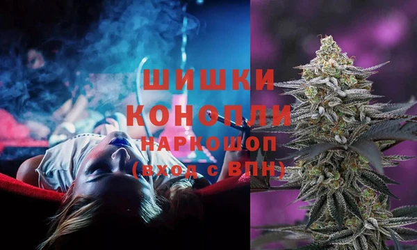 амф Россошь