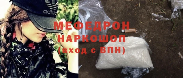 сатива Ростов