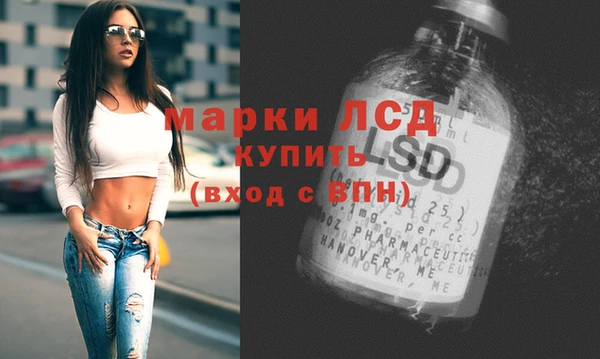 сатива Ростов