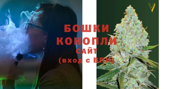 амф Россошь