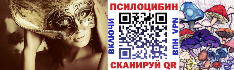 Галлюциногенные грибы Cubensis дарк нет телеграм Крымск даркнет сайт