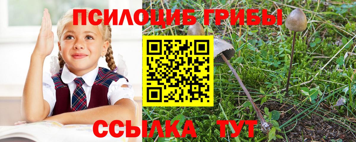 хочу наркоту  Вход с VPN  Крымск  Псилоцибиновые грибы Psilocybine cubensis  Галлюциногенные грибы MAGIC MUSHROOMS 