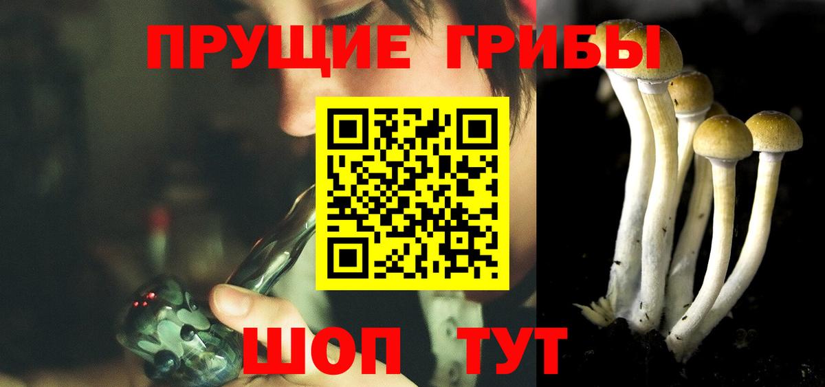 Псилоцибиновые грибы прущие грибы  Крымск 