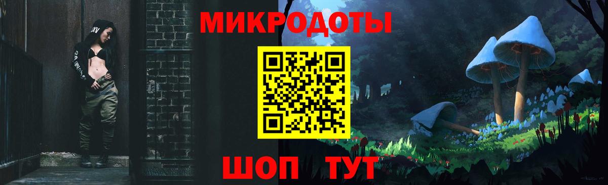 Псилоцибиновые грибы Psilocybine cubensis Крымск